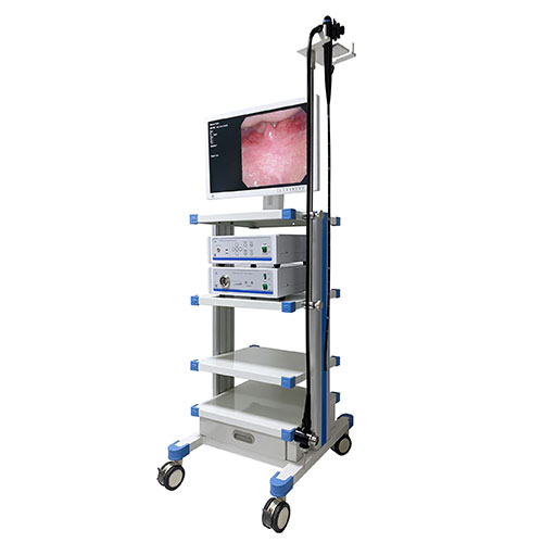 EMV-200 Video Gastroscope