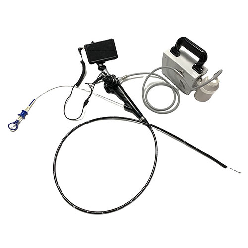 Endoscope Machine Supplier China Brand Portable Video Veteriner Gastroscopic/ Colonoscope